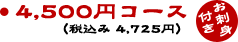 4,500�~�R�[�X�i�ō��� 4,725�~�j