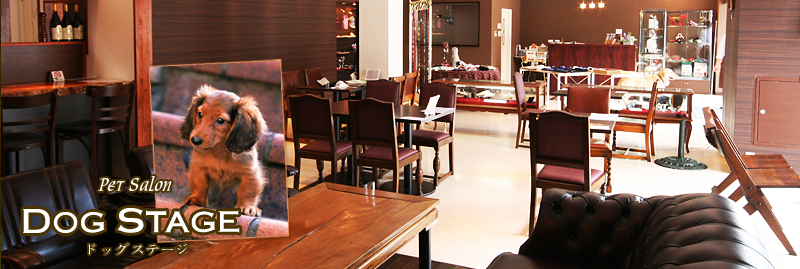 �y�b�g�T�����h�b�O�X�e�[�W